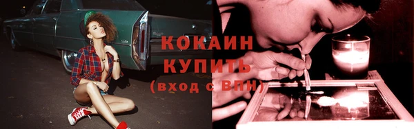 дурь Арсеньев