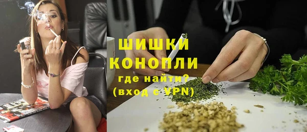 дурь Арсеньев