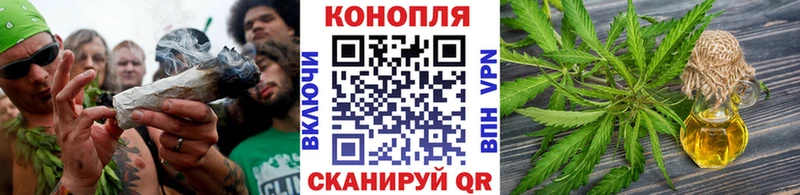 Бошки Шишки OG Kush  Пудож 